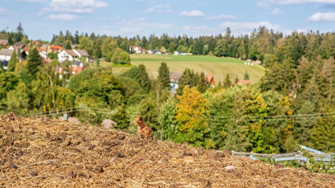 Landpension Pferdekoppel - B&B - Self Checkin Seewald Exteriér fotografie